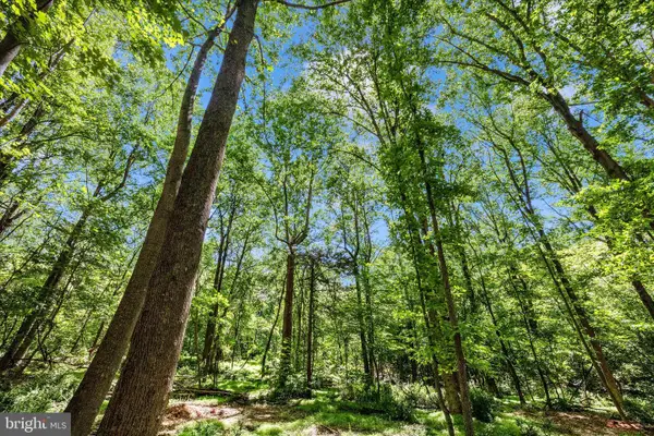 Harpers Ferry Road, KNOXVILLE, MD 21758