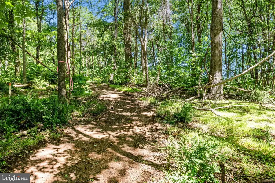 Harpers Ferry Road, Knoxville, MD 21758 - #3