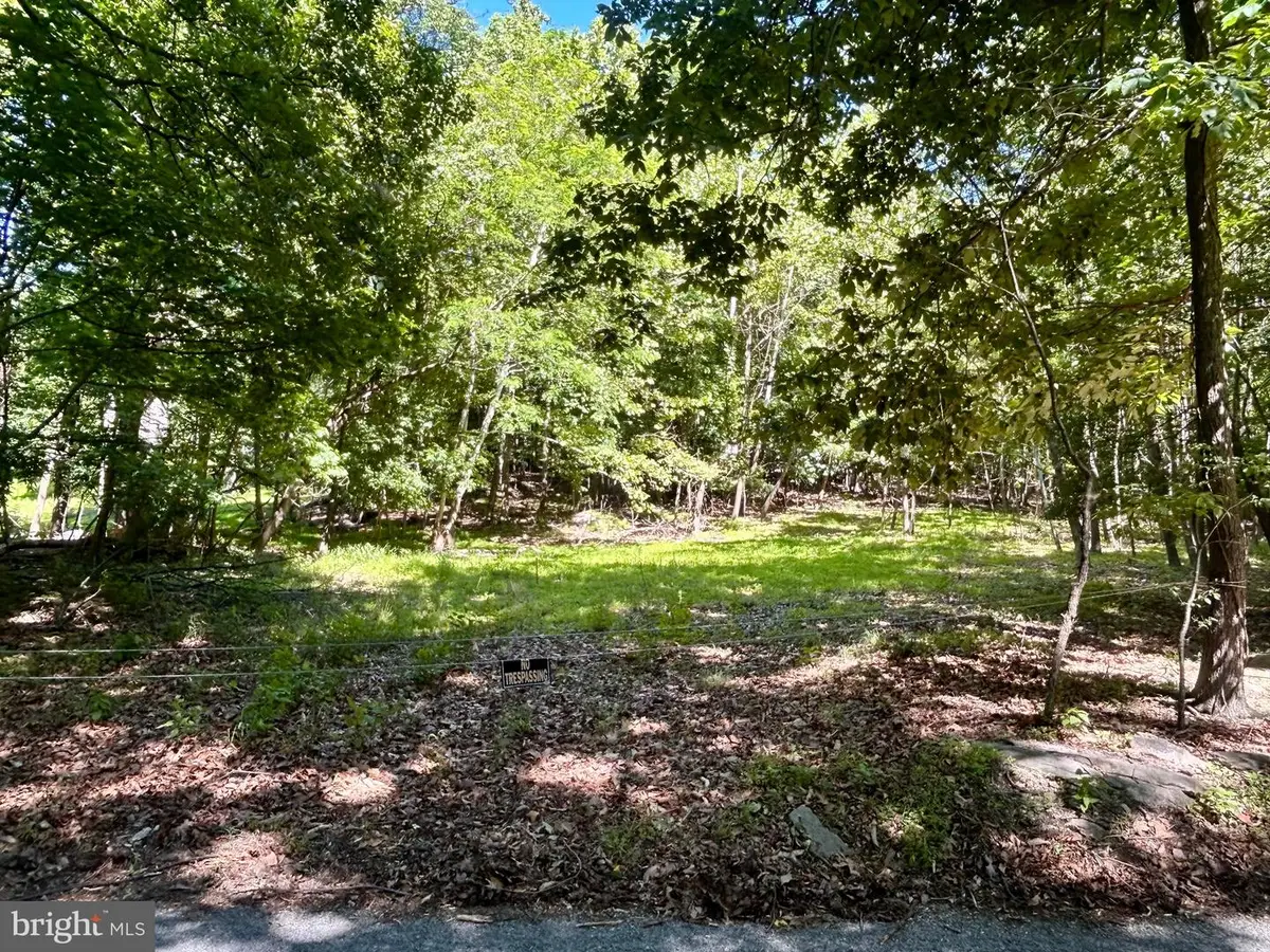 Hoffmaster Rd, Knoxville, MD 21758 - #1