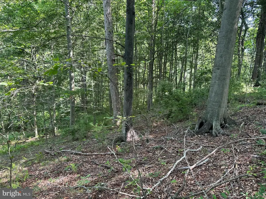 14126 Indian Springs Rd, Clear Spring, MD 21722 - #3