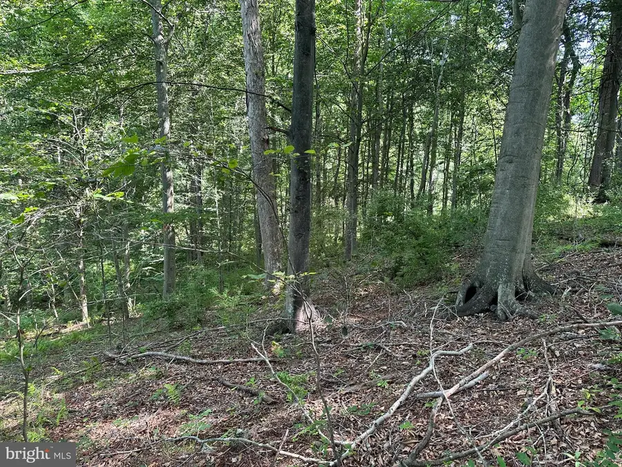 14110 Indian Springs Rd, Clear Spring, MD 21722 - #3