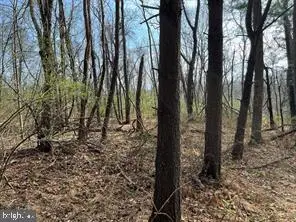 Lot 10 Shanktown Rd, Big Pool, MD 21711 - #2