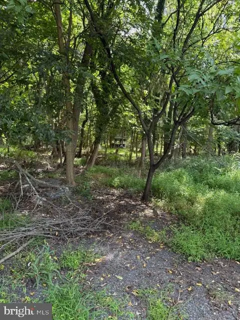 50 Saint Paul St #lot 2, Boonsboro, MD 21713 - #1