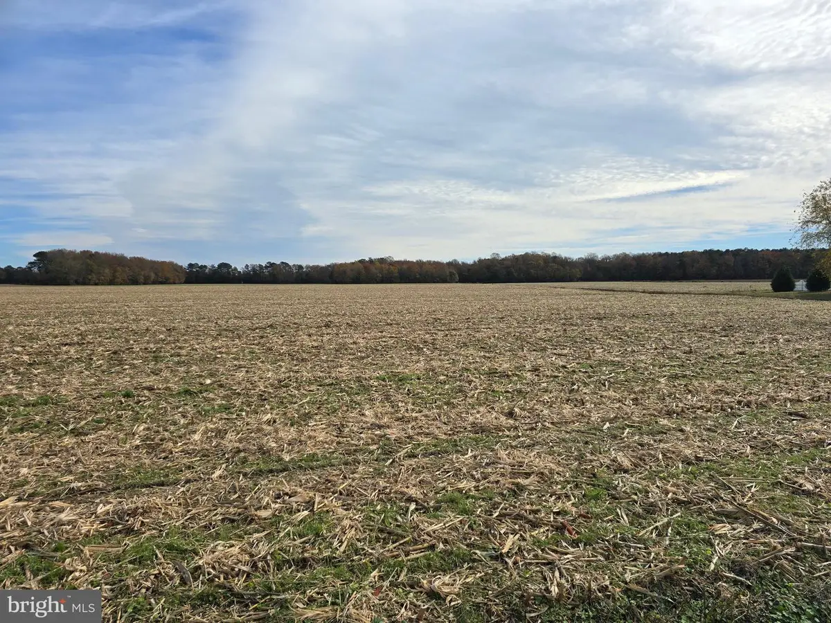 0 Richardson Rd, Willards, MD 21874 - Image #1