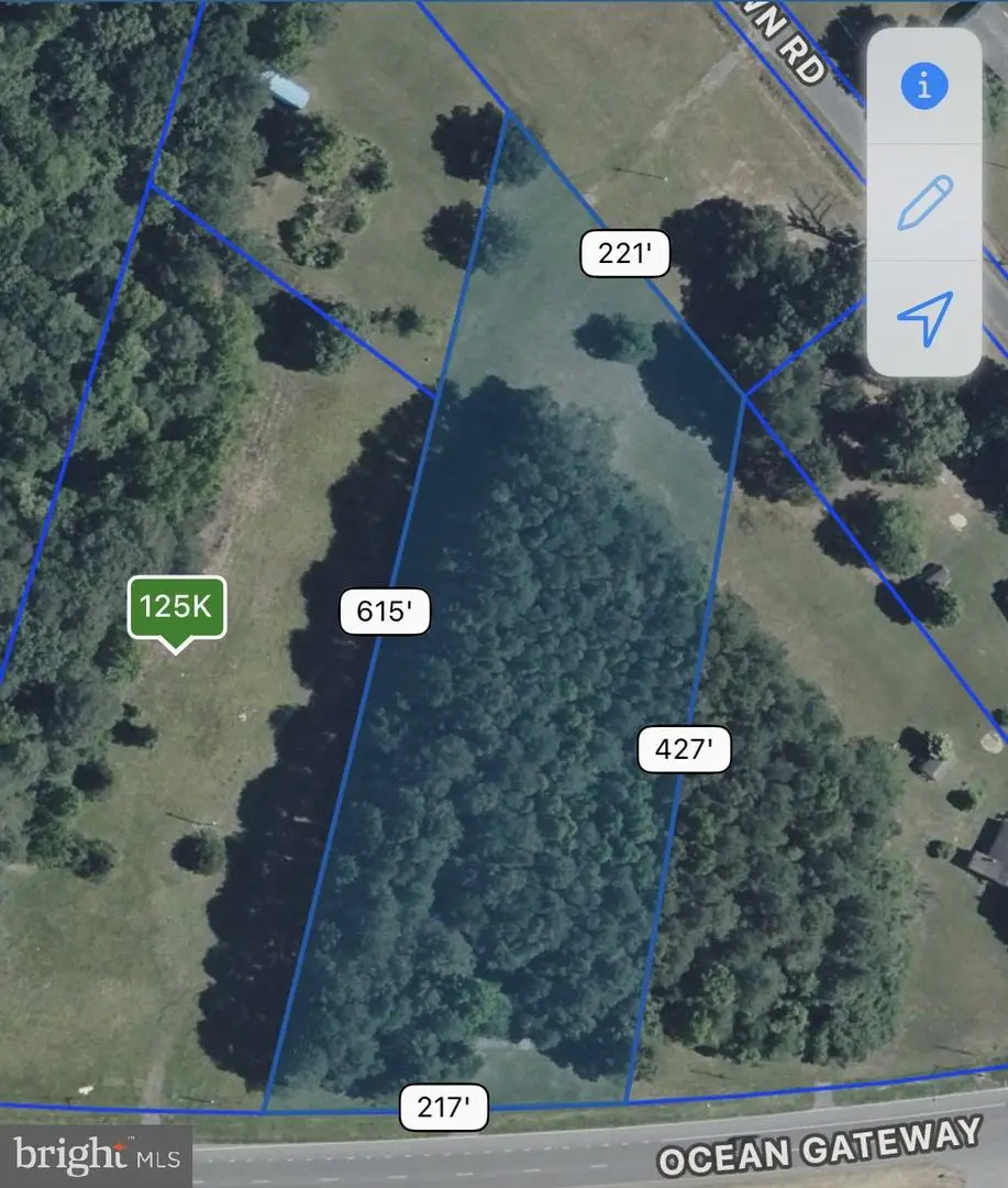 Us Rt 50 Hwy, Mardela Springs, MD 21837 - Image #1