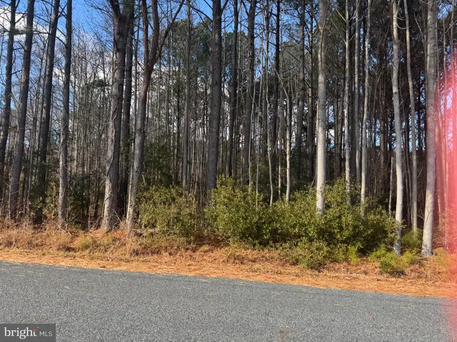 Hickman Ln #338, Nanticoke, MD 21840 - Image #3