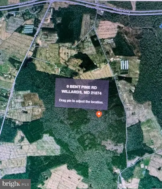 0 Bent Pine Rd, WILLARDS, MD 21874