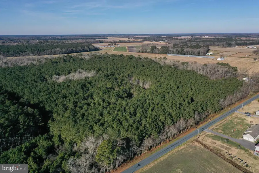 0 Bent Pine Rd, Willards, MD 21874 - #2