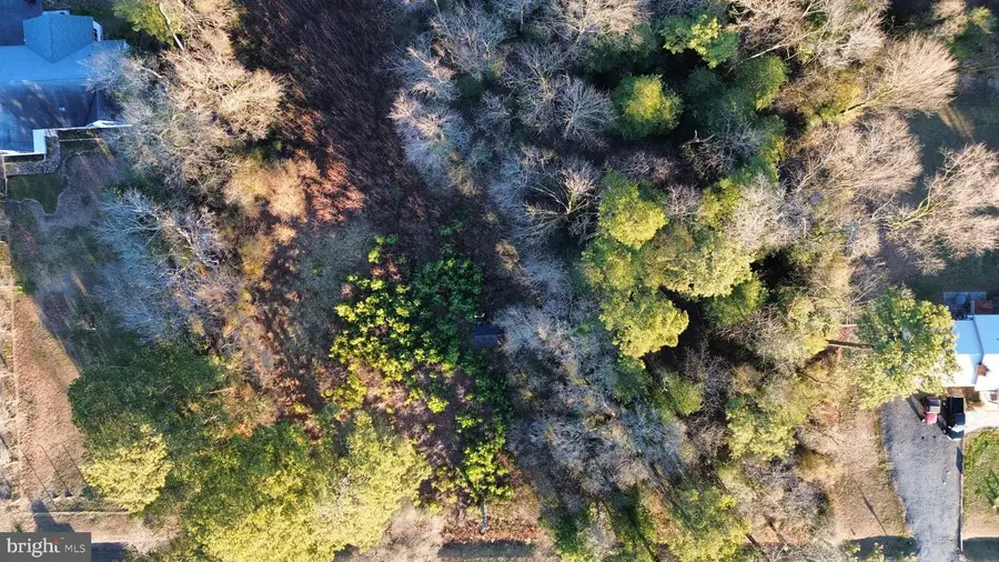 8313 Littleton Rd, Willards, MD 21874 - Image #2