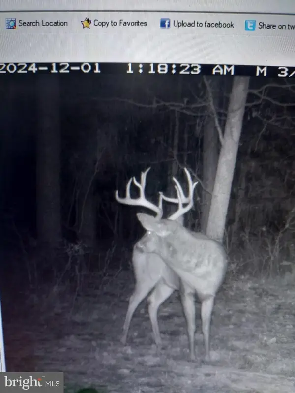 Lot2a Cardinal Dr, SALISBURY, MD 21801