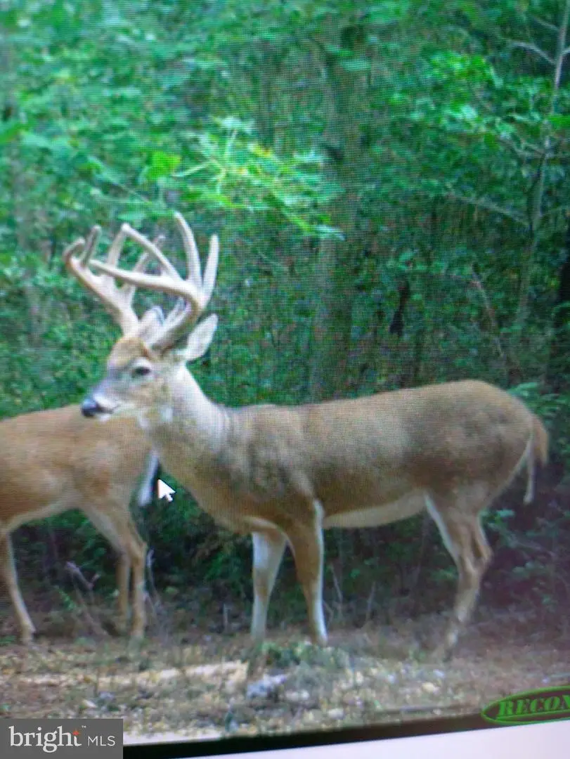 Lot2a Cardinal Dr, Salisbury, MD 21801 - Image #2