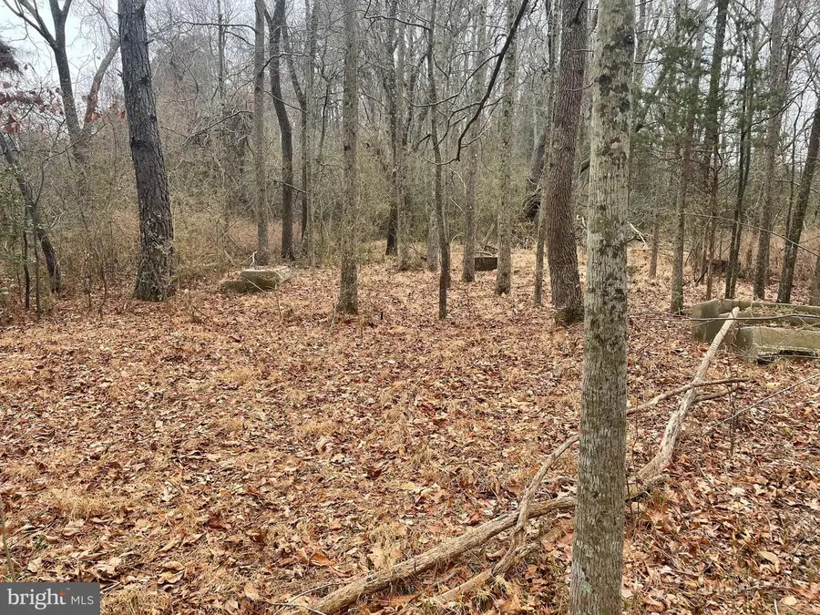 0 Wetipquin Rd, Quantico, MD 21856 - #2