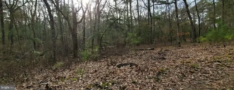 6020 Catchpenny Rd, Quantico, MD 21856 - #2