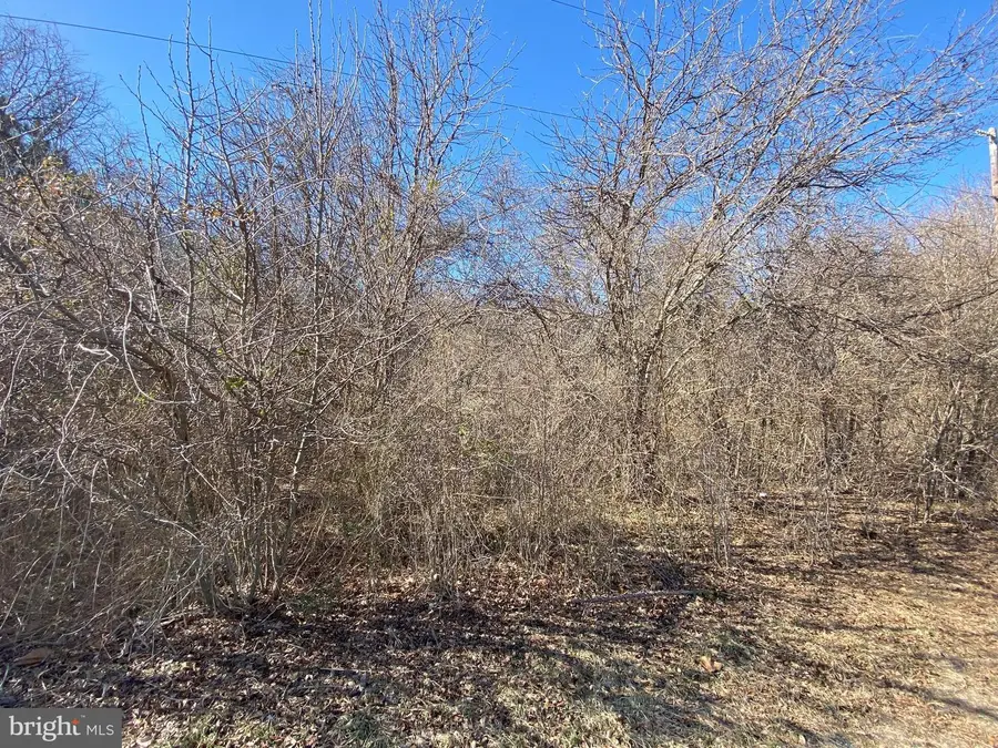 0 Hammond School Rd, Salisbury, MD 21804 - #3