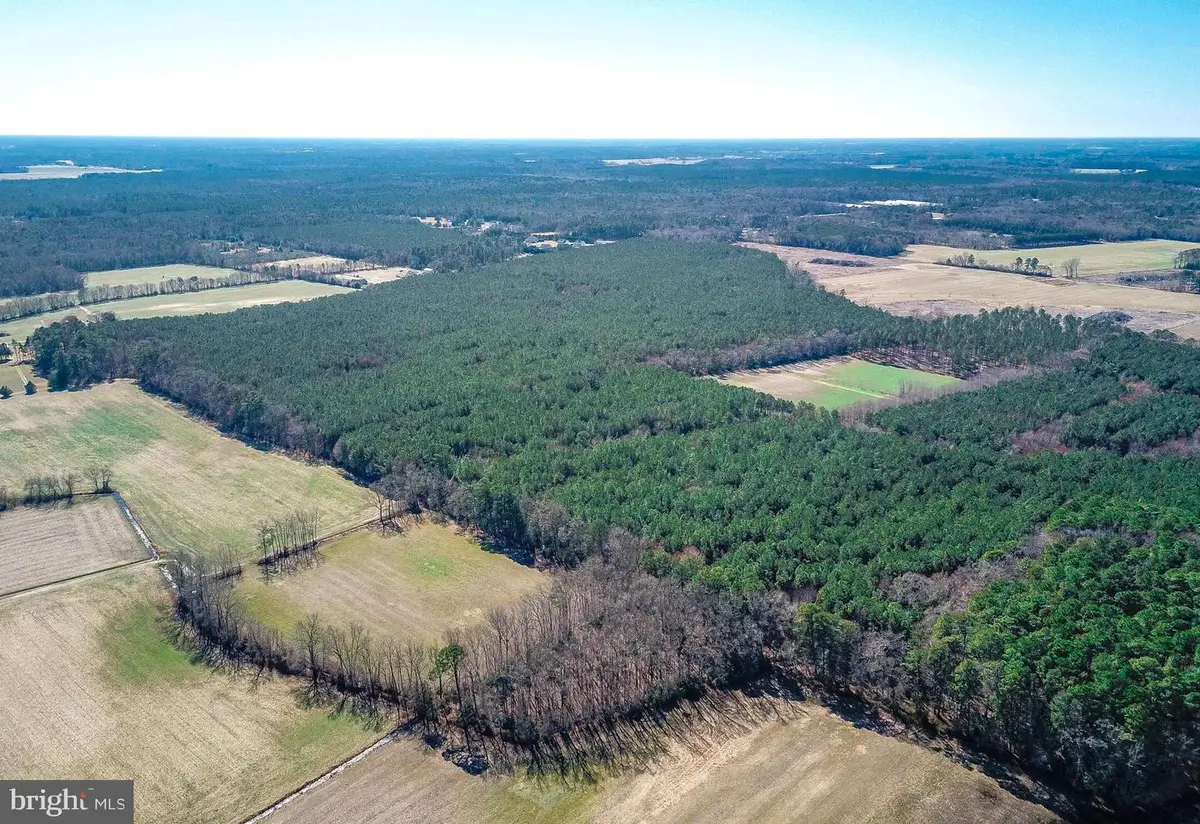 0 Melson Rd, Delmar, MD 21875 - #1