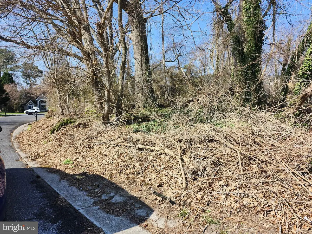 804 Shelburne Way, Salisbury, MD 21804 - #1