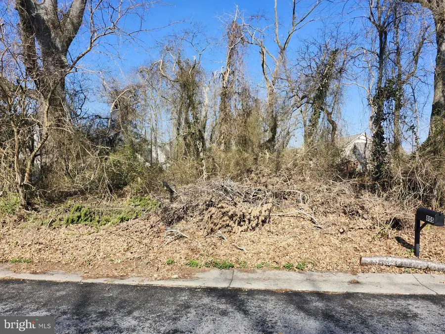 804 Shelburne Way, Salisbury, MD 21804 - #3