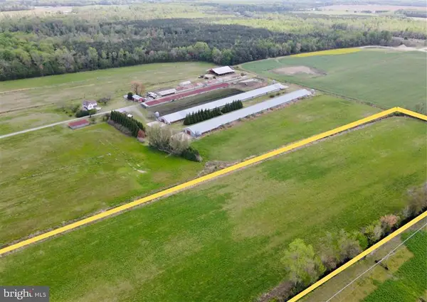 Sheppards Crossing, WILLARDS, MD 21874