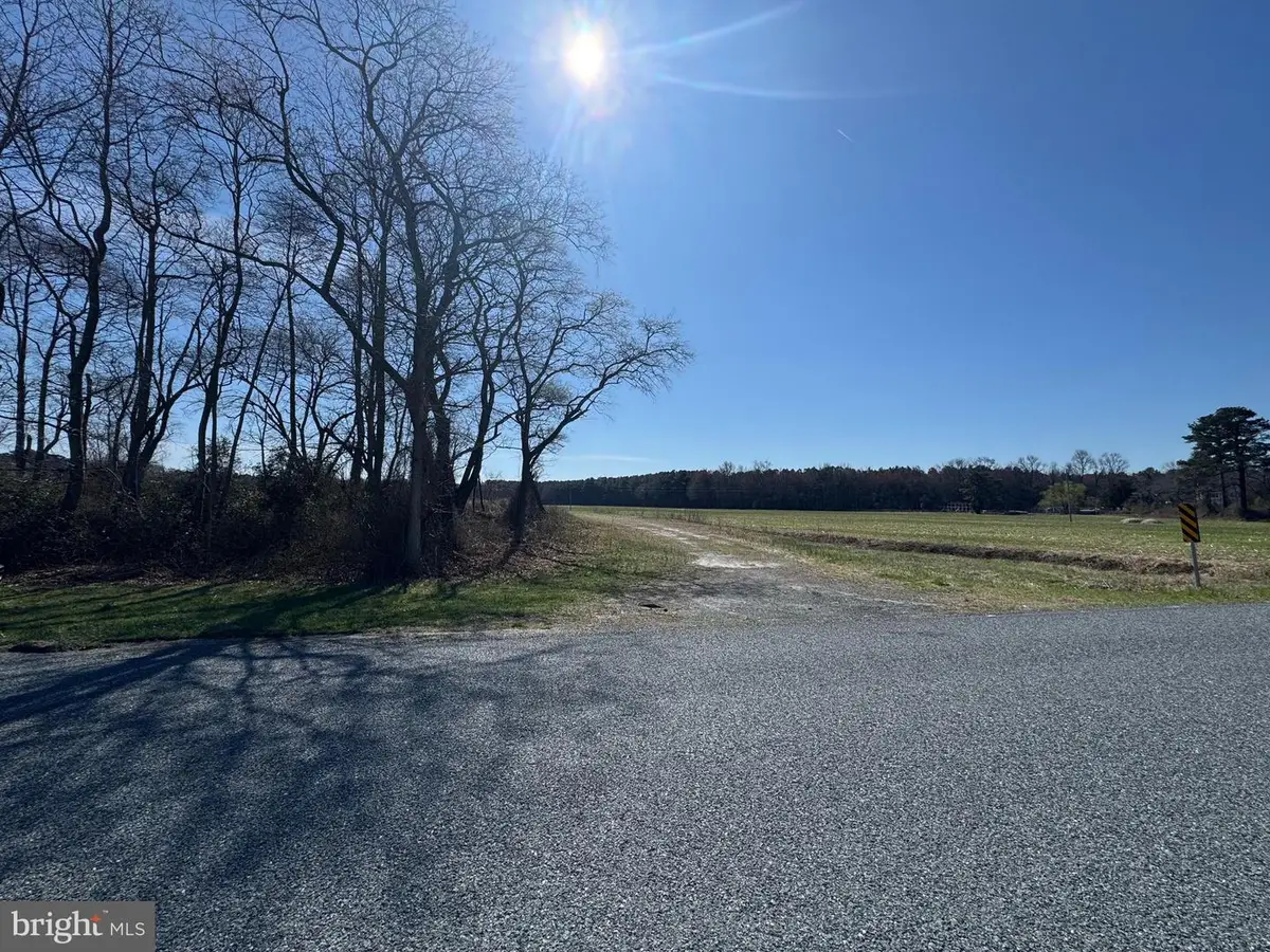 0 Line Rd, Parsonsburg, MD 21849 - #1