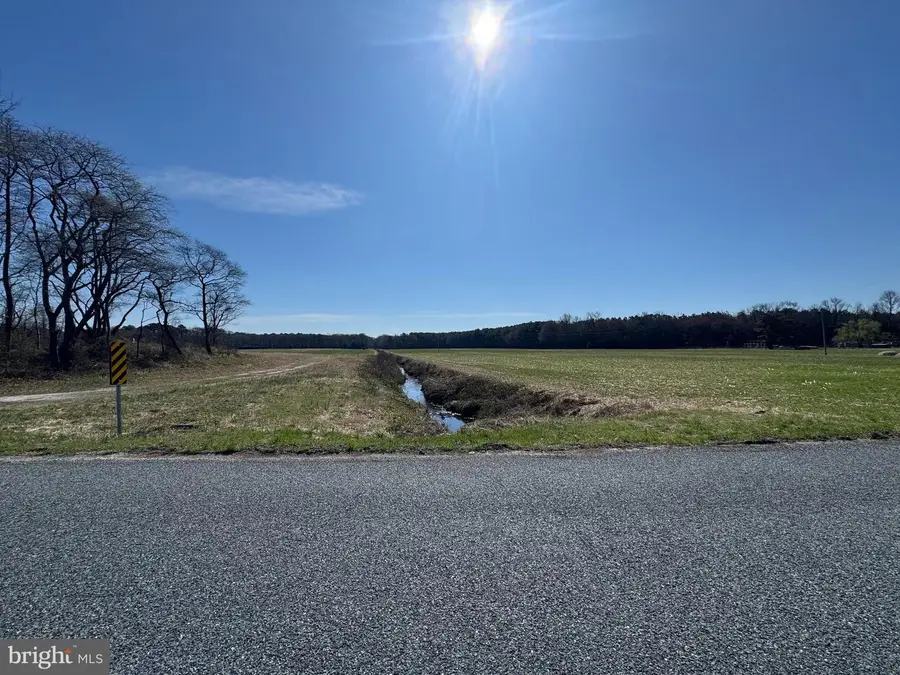 0 Line Rd, Parsonsburg, MD 21849 - #2