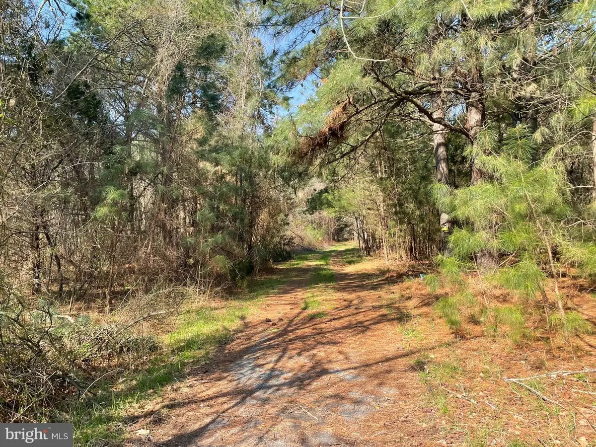 Foskey Ln, Delmar, MD 21875 - #1