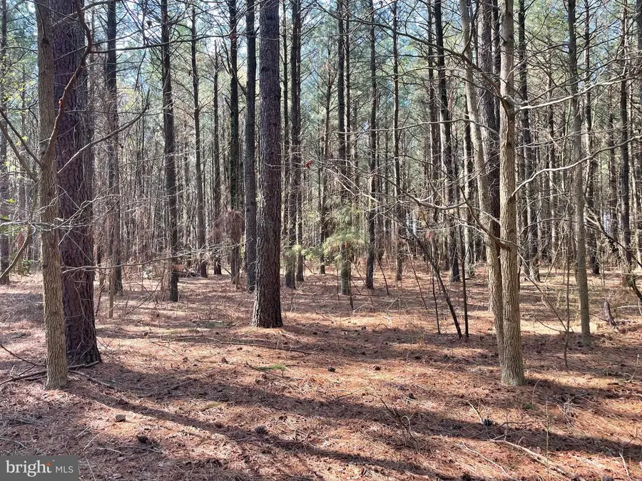Foskey Ln, Delmar, MD 21875 - #3