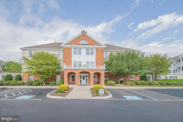 1103 S Schumaker Dr #c-207, SALISBURY, MD 21804