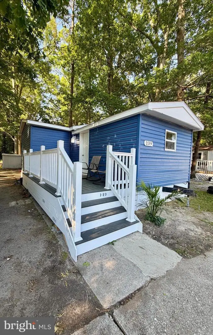 239 Dove St, Salisbury, MD 21801 - #2