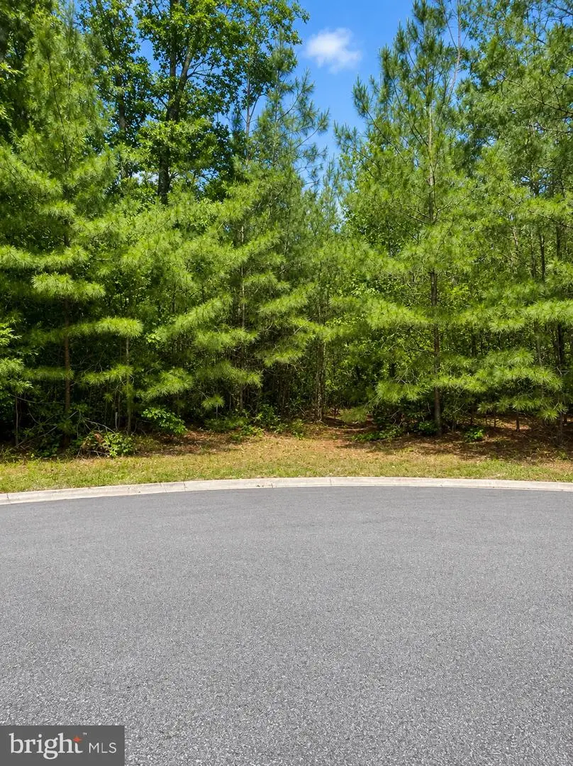 Pristine Pl #16aa, Parsonsburg, MD 21849 - #2