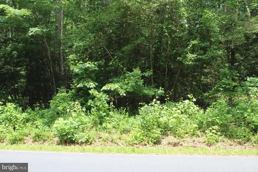 Lot 3 Jackson Rd, Salisbury, MD 21804 - #2