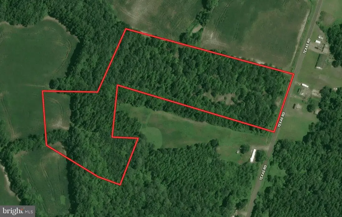 Texas Rd, Bivalve, MD 21814 - #1