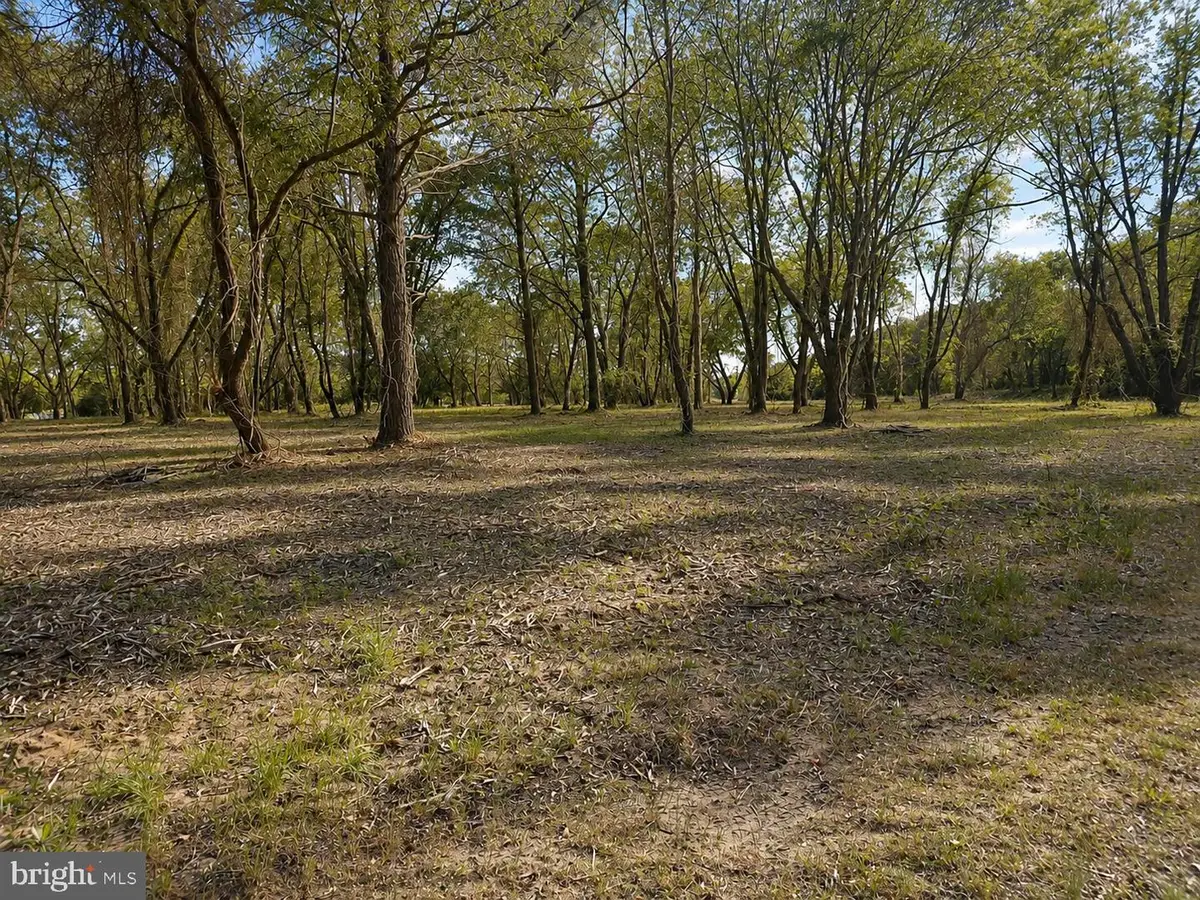 Lot 1 Red Hill Ln, Nanticoke, MD 21840 - #1