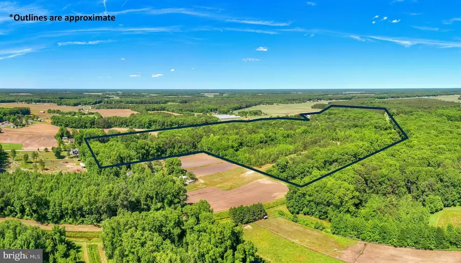 Casher Wells Rd, Pittsville, MD 21850 - #2