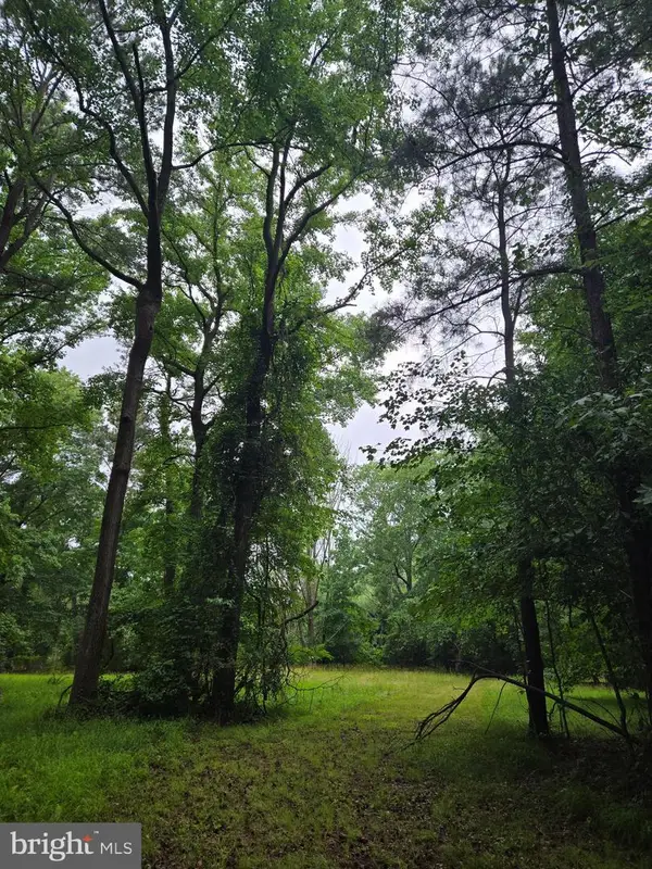 Cooper Rd, EDEN, MD 21822