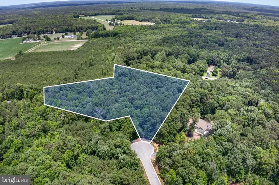 Lot 9a Pristine Pl, Parsonsburg, MD 21849 - #3
