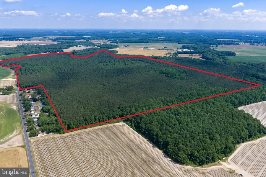 0 Jersey Rd, Salisbury, MD 21801 - #2