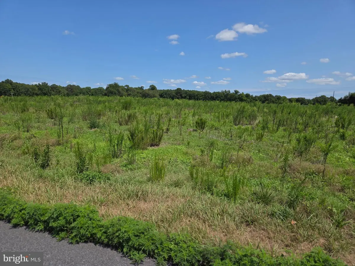 0 Delaware Ave, Pittsville, MD 21850 - #1