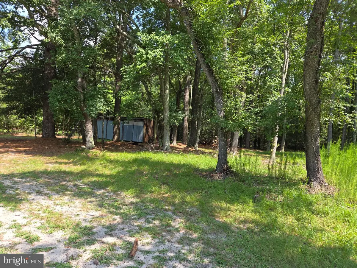 10228 Sharptown Rd, Mardela Springs, MD 21837 - #1
