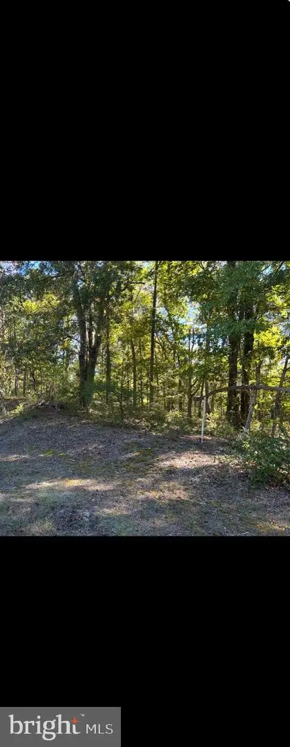 Wetipquin Rd, QUANTICO, MD 21856