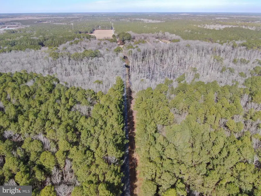 Lot 1 Sand Road, Snow Hill, MD 21863 - Image #2