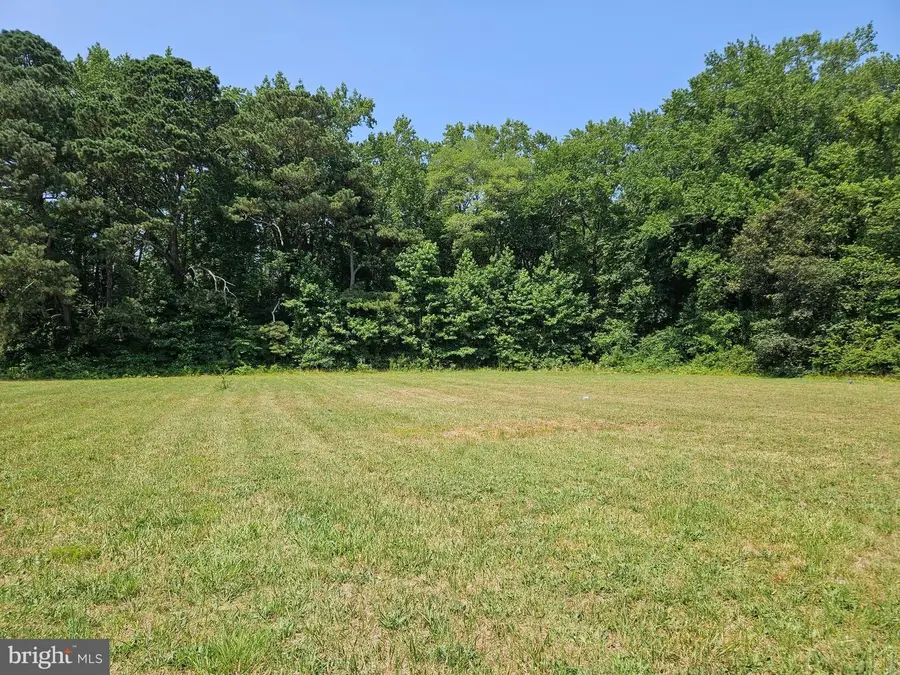 2379 Worcester Hwy, Pocomoke City, MD 21851 - Image #3