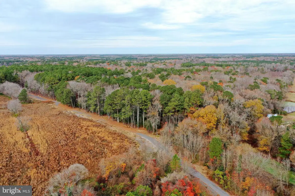 Parcel #169 Georgetown Rd, Berlin, MD 21811 - Image #1