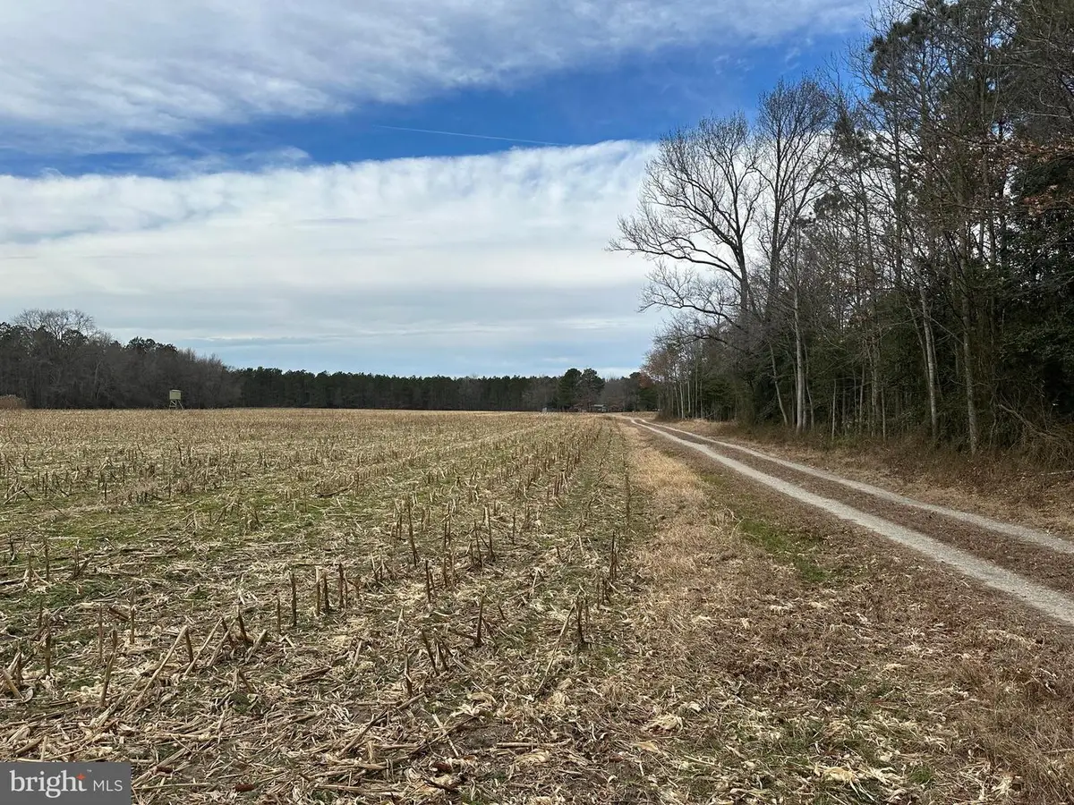 0 Whitesburg, Snow Hill, MD 21863 - Image #1