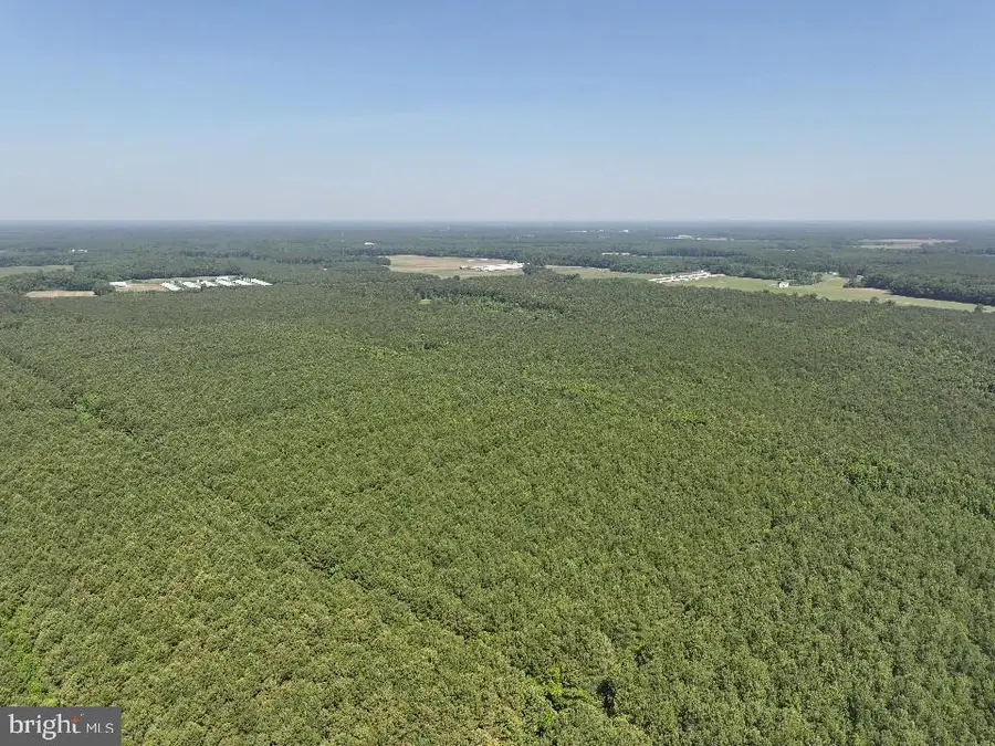 0 Johnson Rd, Pocomoke City, MD 21851 - Image #2