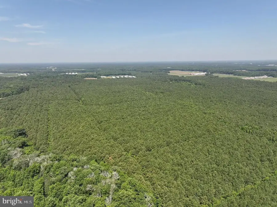 0 Johnson Rd, Pocomoke City, MD 21851 - Image #3