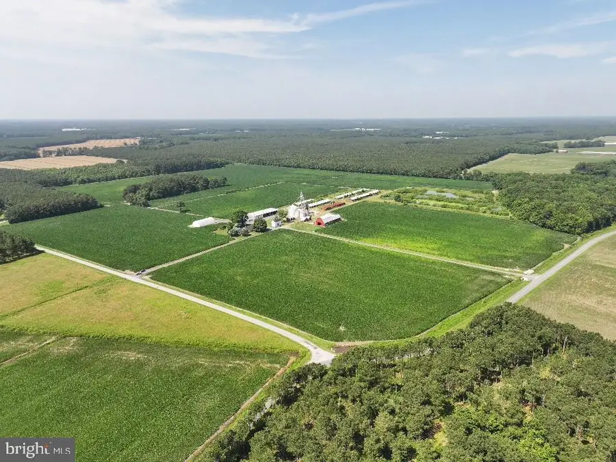 641 Critcher Rd, Pocomoke City, MD 21851 - Image #2