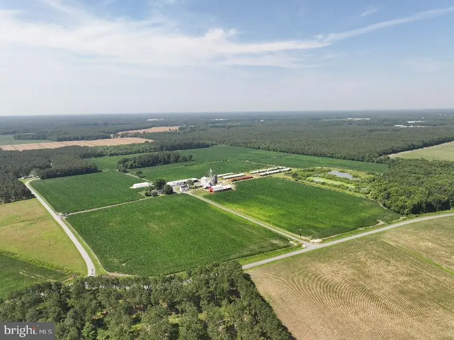 641 Critcher Rd, Pocomoke City, MD 21851 - Image #3