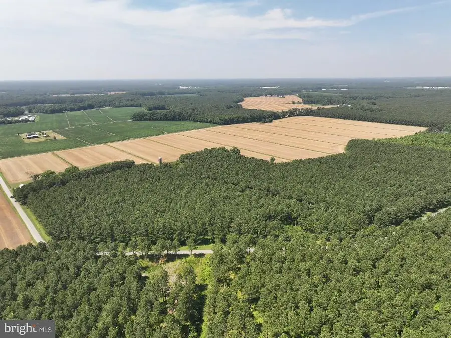 535 Critcher Rd, Pocomoke City, MD 21851 - Image #2