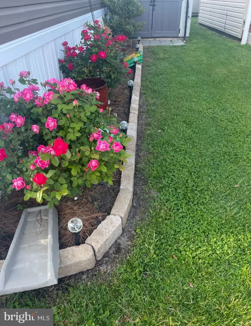 13210 Sinepuxent Ave #27, Ocean City, MD 21842 - Image #3