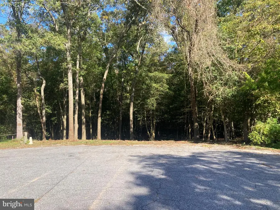 Wildwood Trail, Pocomoke City, MD 21851 - #2